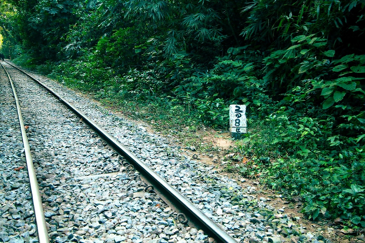 The Bamboo Train (Norry): Honest Assessment — Battambang, Vietnam