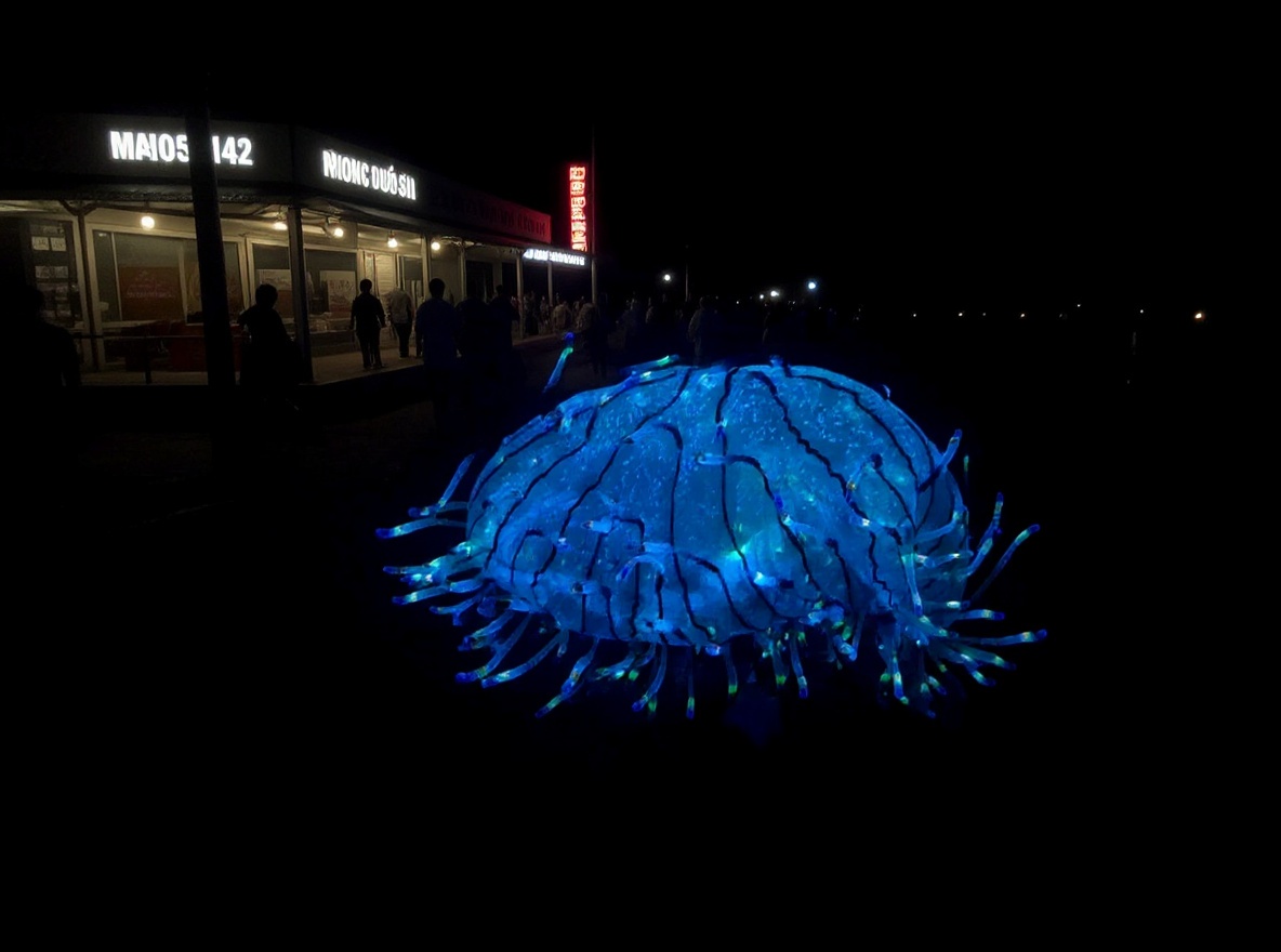 Bioluminescent Plankton: The Main Event — Koh Rong Cambodia, Vietnam